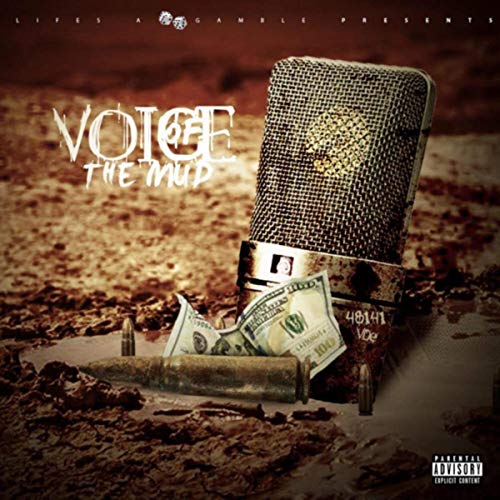48141 Voe - Voice Of The Mud