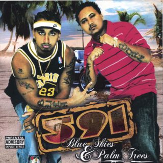 591 Blue Skies Palm Trees