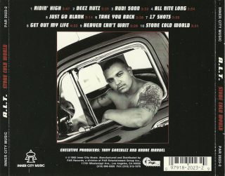 A.L.T. Stone Cold World Back