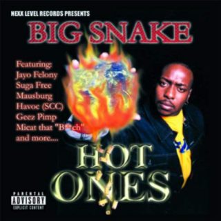 Big Snake Hot Ones