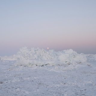 Billy Woods - Terror Management