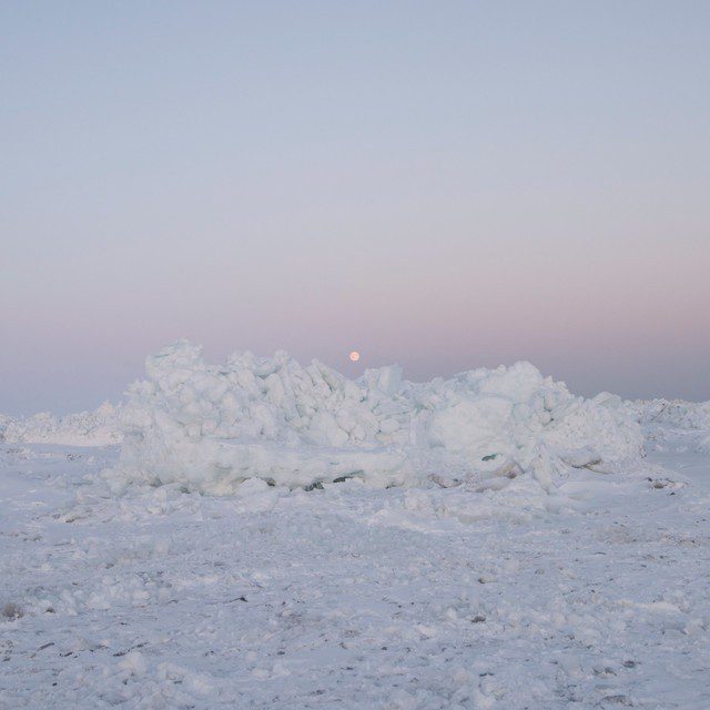 Billy Woods - Terror Management