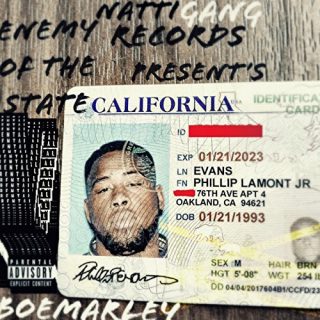 BoeMarley - Enemy Of The State