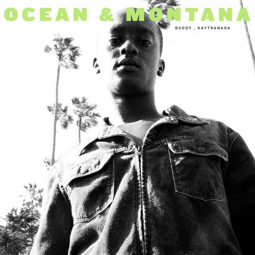 Buddy Ocean Montana