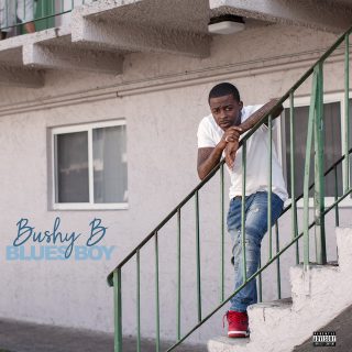 Bushy B - Blues Boy