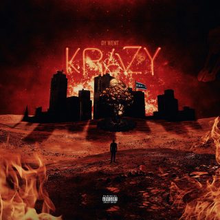 DY Krazy - Dy Went Krazy