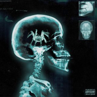 Danny Towers - Tarantula