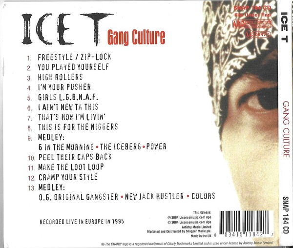 Ice-T - Gang Culture (Back)