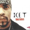 Ice-T - Gang Culture (Front)