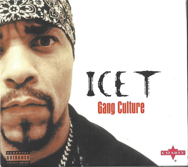 Ice-T - Gang Culture (Front)