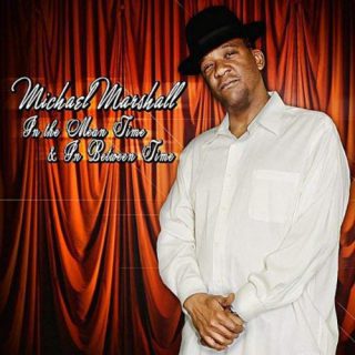 Michael Marshall In The Mean Time In Between Time