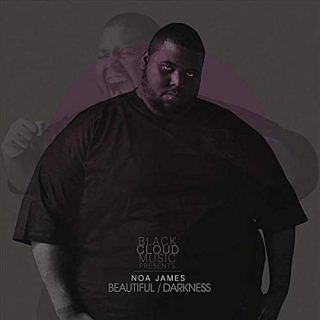 Noa James Beautiful Darkness