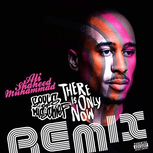 Souls Of Mischief, Adrian Younge, Ali Shaheed Muhammad, Linear Labs - There Is Only Now