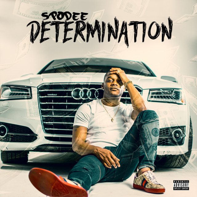 Spodee - Determination