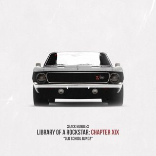 Stack Bundles - Library Of A Rockstar Chapter 19 - Old School Bundz