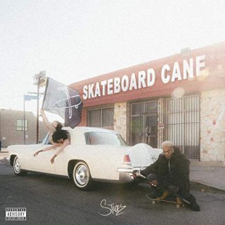 Stockz - Skateboard Cane