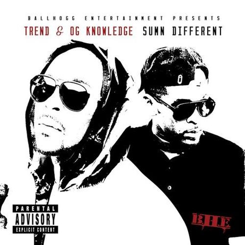 Trend Og Knowledge Sumn Different