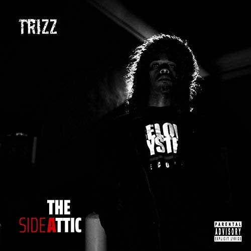 Trizz The Attic